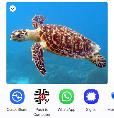 Share options on Android