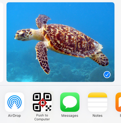 Share options on iOS