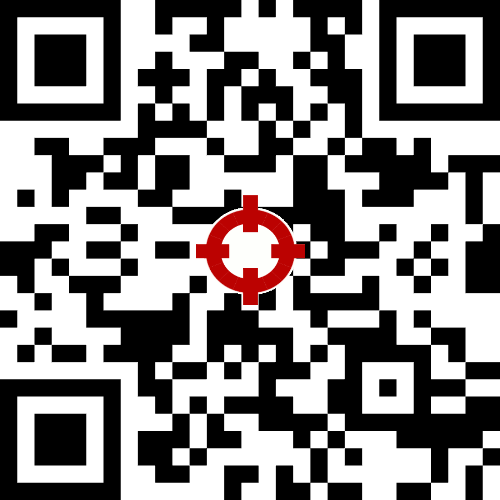 QR code with error correction level H, dimensions 29x29, encoding 24 characters