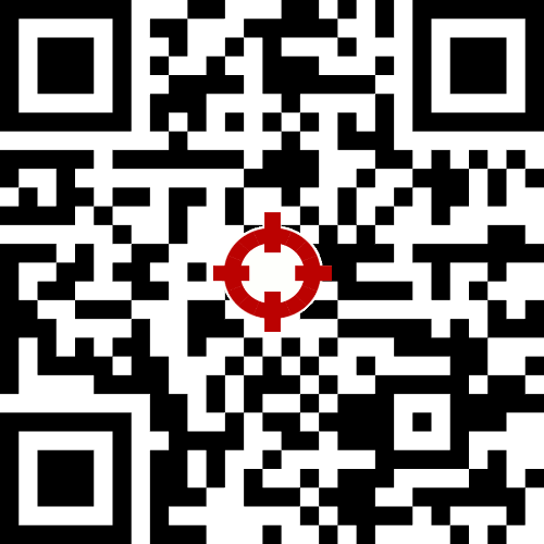 QR code with error correction level L, dimensions 29x29, encoding 53 characters